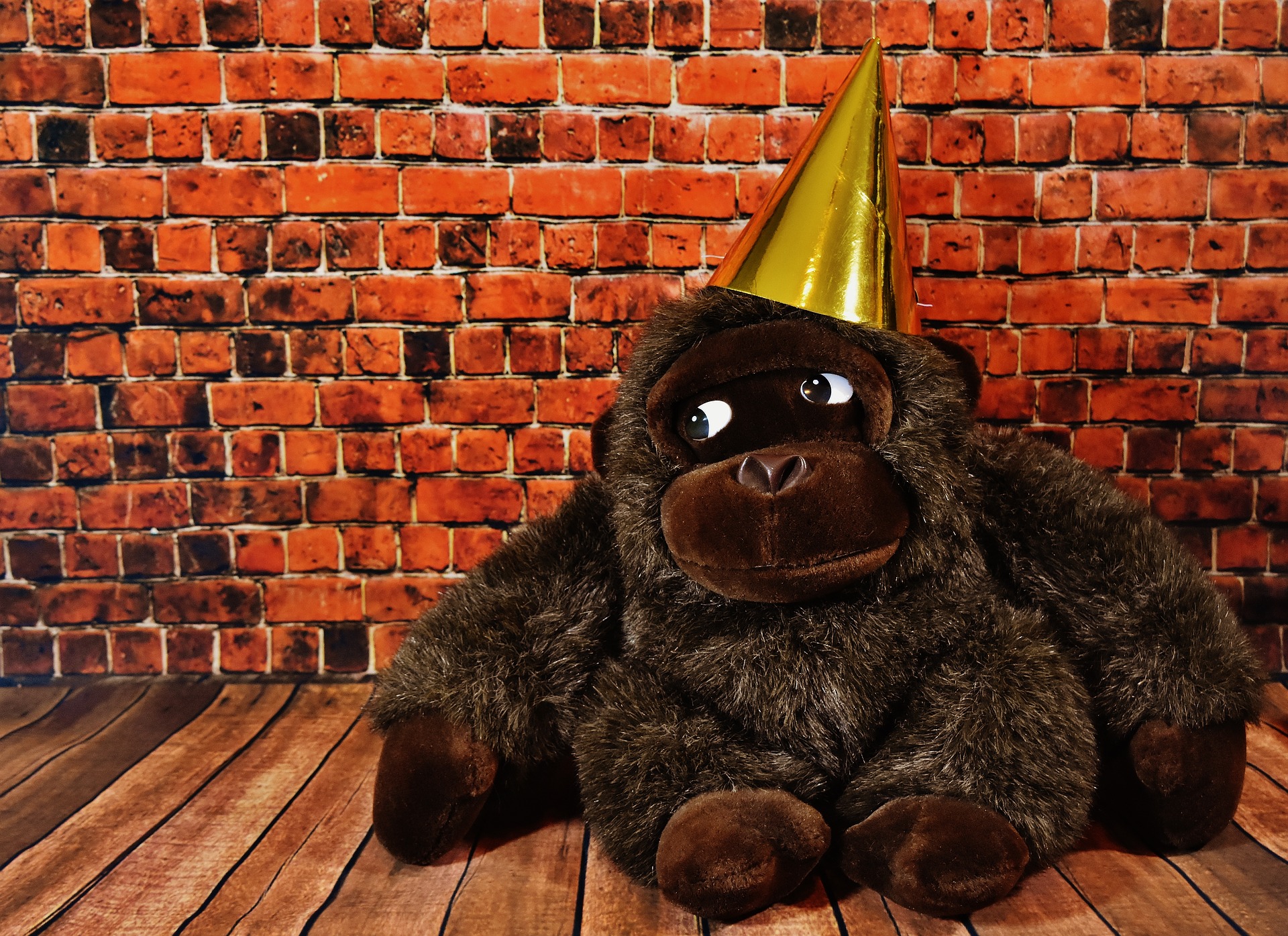 Party hats at the ready