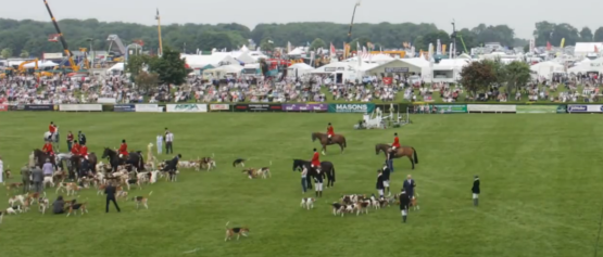 lincs show