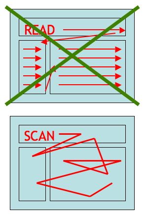 reading-scanning